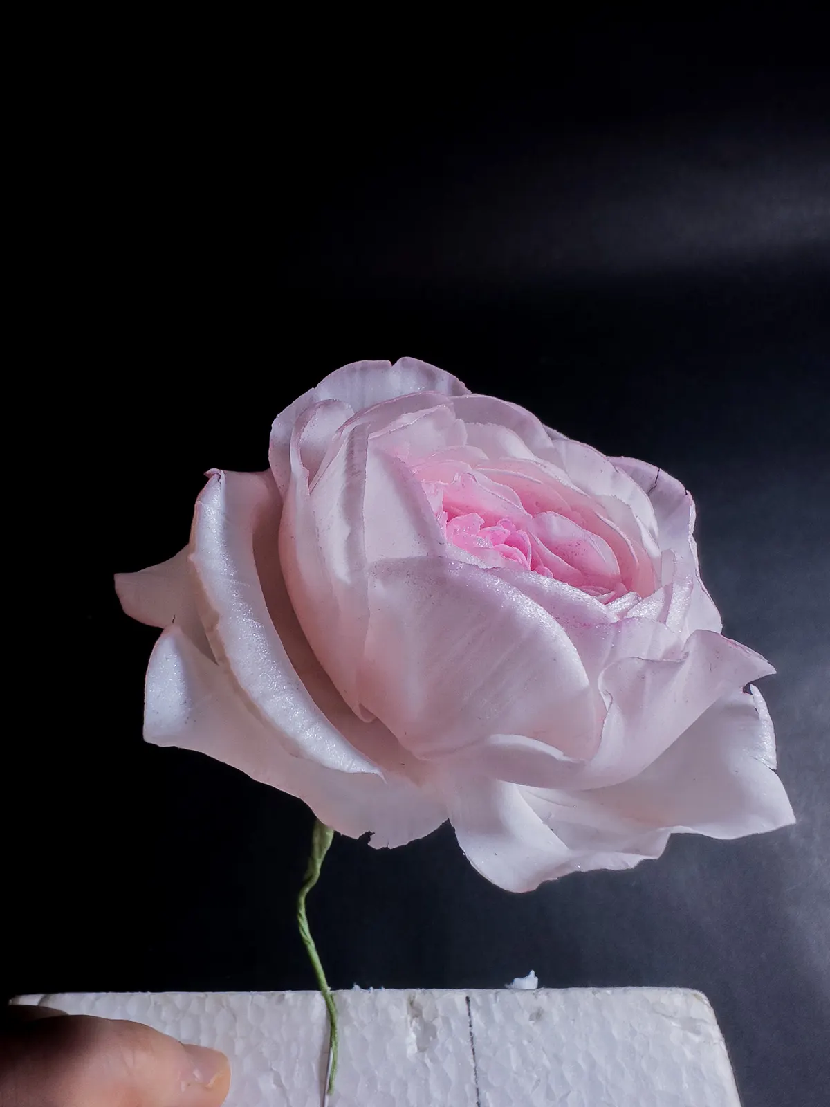 ハイエンドROSE
